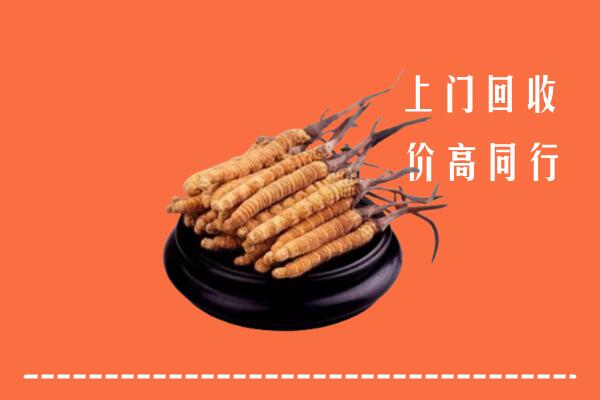 收购行情：紫阳县回收散虫草
